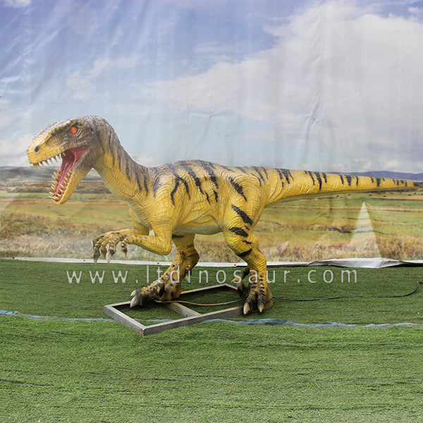 A 3-meter-long yellow velociraptor in profile