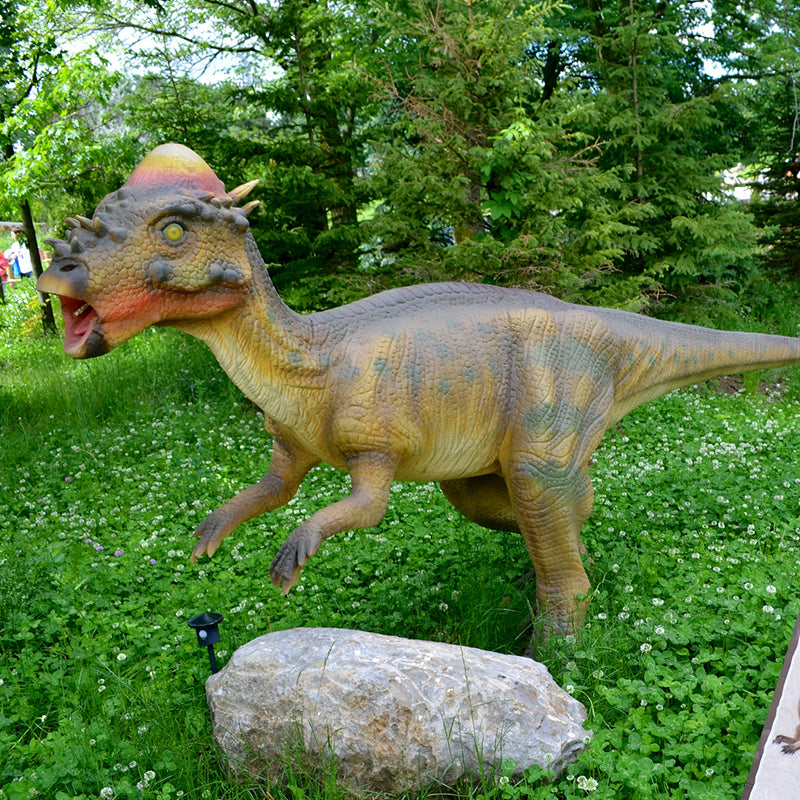 Animatronic Pachycephalosaur
