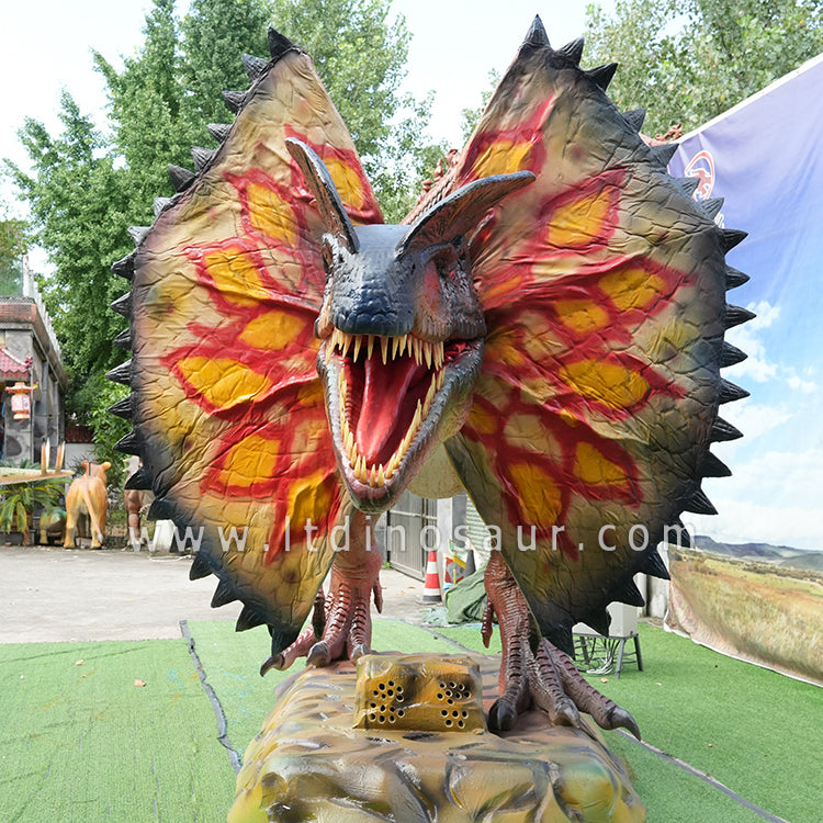 The front view of the Dilophosaurus