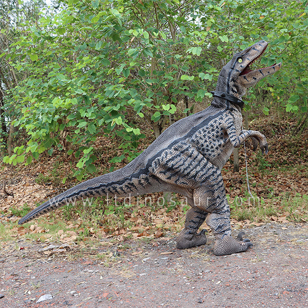 Real Size Dinosaur Costume