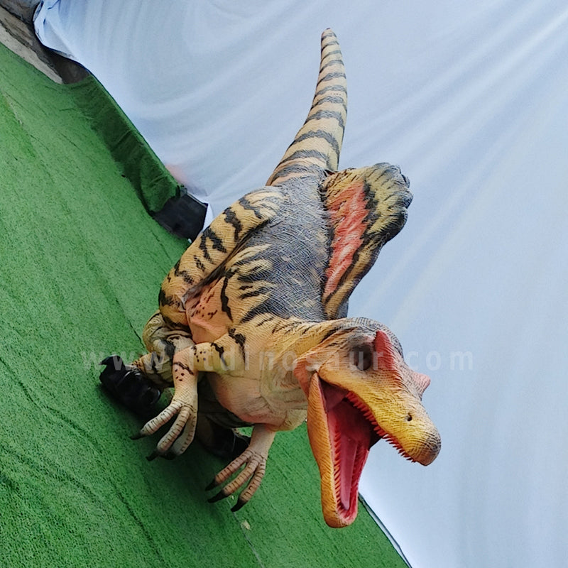 Spinosaurus | Hidden Legs Dinosaur Costume