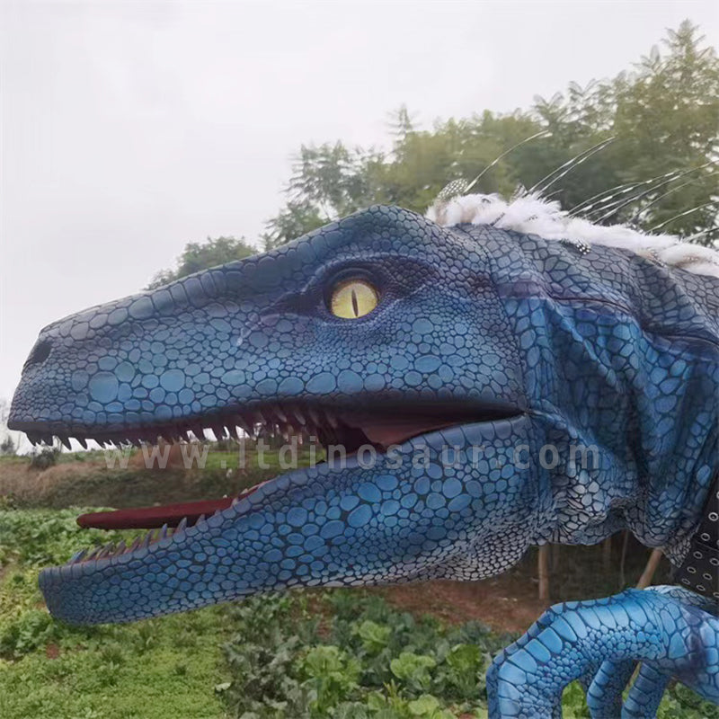 Raptor Costume with Feather