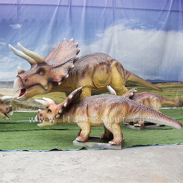 4 real size Triceratops